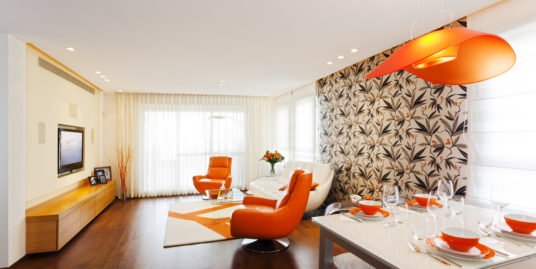 Luxury Apartment