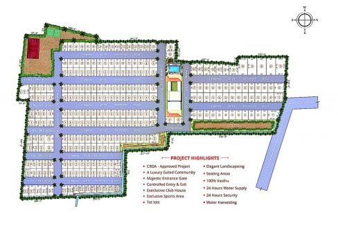 layout